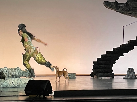 Performer in gold outfit, wig and boots runs off stage, with a small dog looking up as he leaves