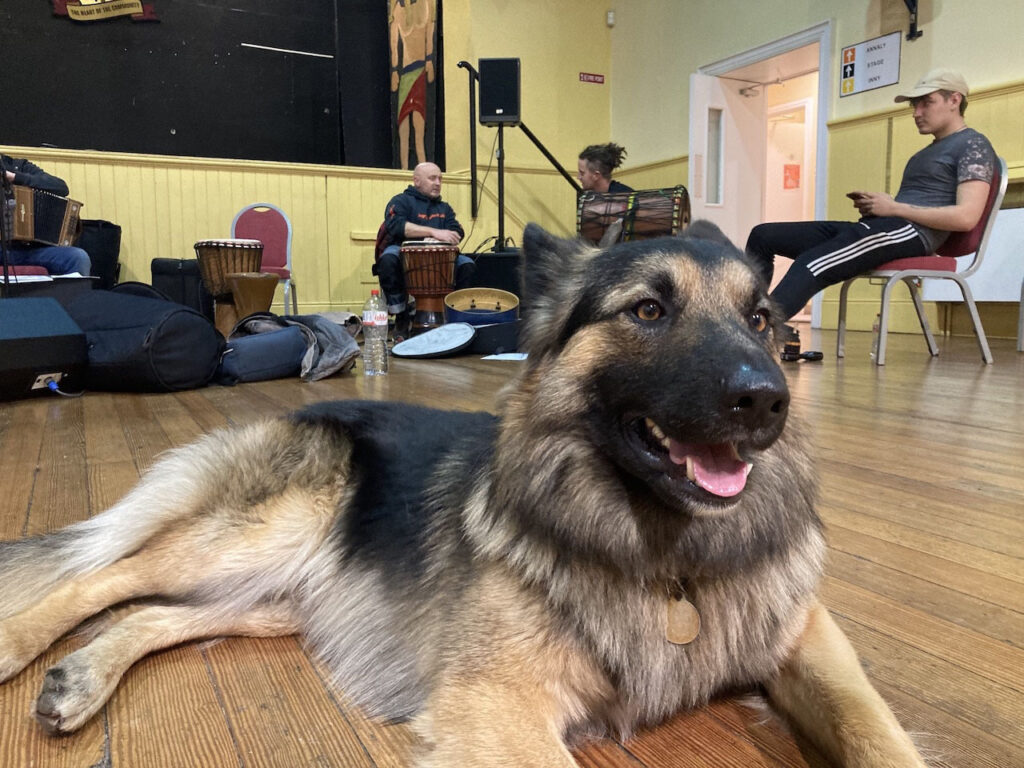 Yogi Bear, a canine connector at a dance event with the Ukrainian community.
